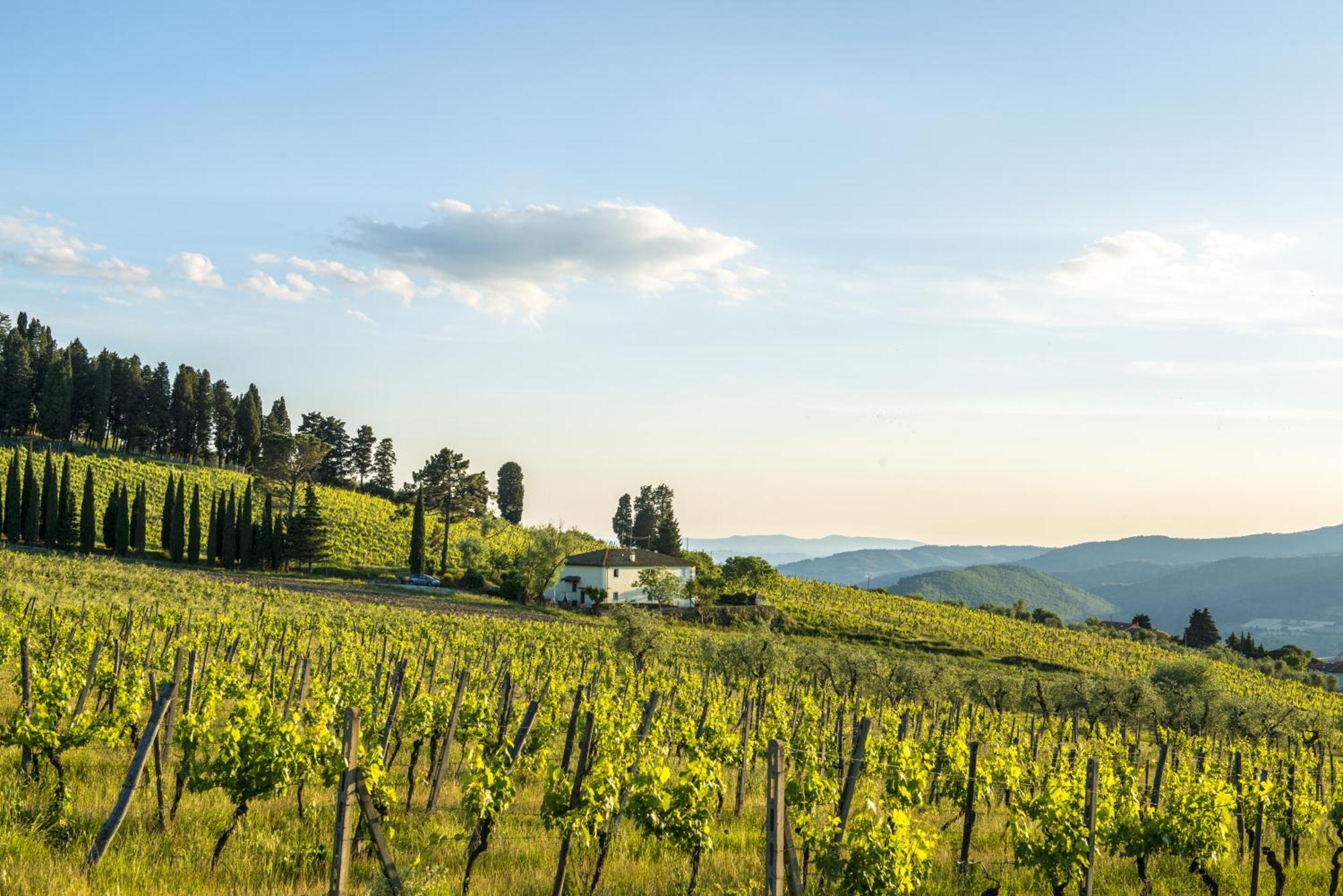 Agriturismo Fattoria Lavacchio Понтассьеве Номер фото